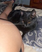 Анкета проститутки Викуля - метро Румянцево, возраст - 24